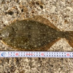 この時期に投げでカワハギ