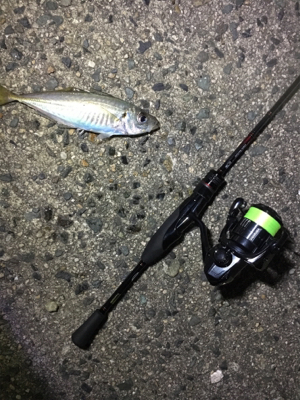 最近良さげなアジング