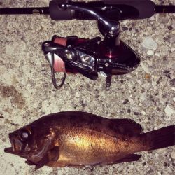 風裏探してメバリング