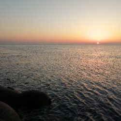 早朝メバリング