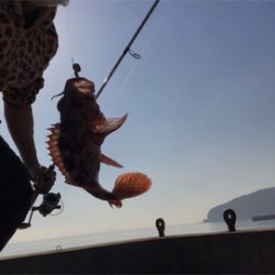 得意のライトゲーム