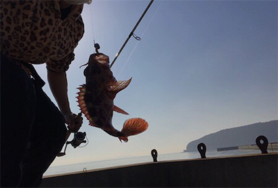 得意のライトゲーム