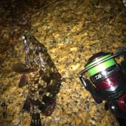 小雨の中、ガシリング(^^)