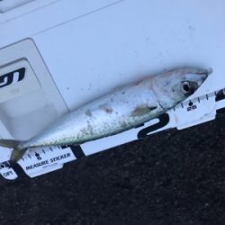 爆風の中のレイニー鯖ゲー