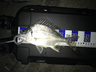 ズル引きチニング