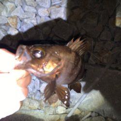 楽しめました(^^)