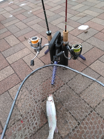 服部緑地でトラウト