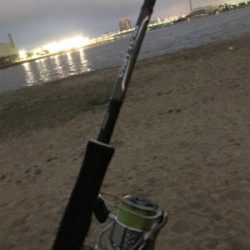 バイブレーションキビレ