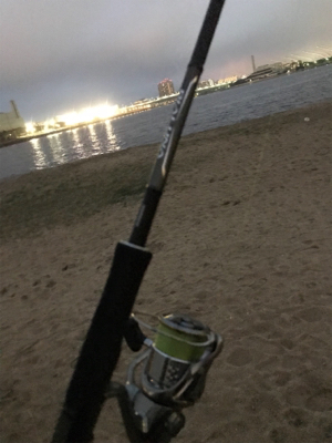 バイブレーションキビレ