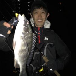 のっこみチニング