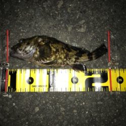 諦めなければ救われる(^^)