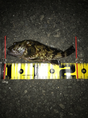 諦めなければ救われる(^^)