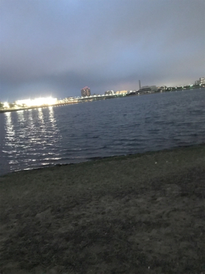 バイブレーションキビレ連日!