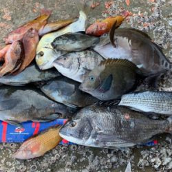 四万十市 沖磯 フカセ釣り