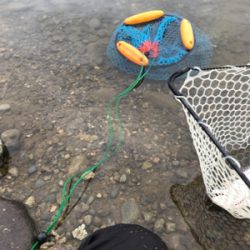 鬼怒川フィシング