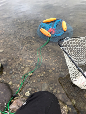 鬼怒川フィシング