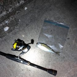 渋すぎる。大寒波