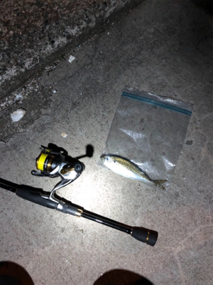 渋すぎる。大寒波