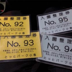 マイワシ回遊からのシーバス