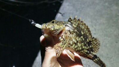 2019年3月24日in岐志漁港