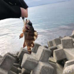 雨のライトゲーム