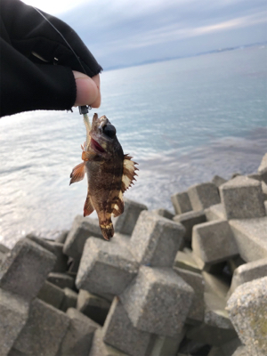 雨のライトゲーム