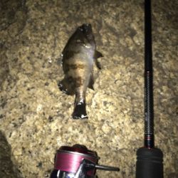 寒い中、3種目GET (^^)