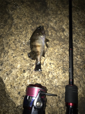 寒い中、3種目GET (^^)