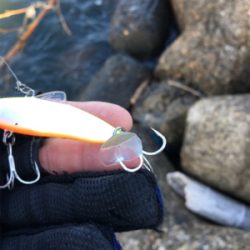 ドラグぎゅーーーん