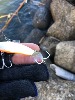 ドラグぎゅーーーん