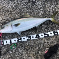 初めての宇佐一文字で…最高でした