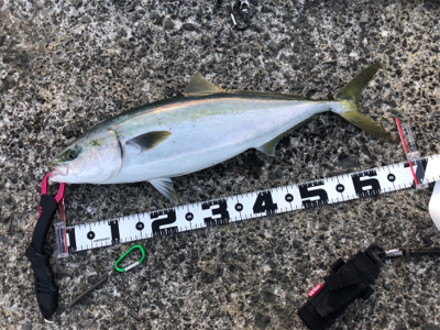 初めての宇佐一文字で…最高でした