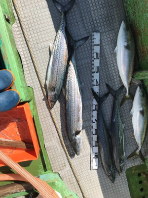 孝洋丸 トローリング