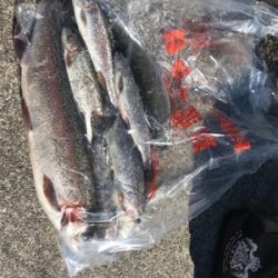 総合運動場栃木フィシングフィールド