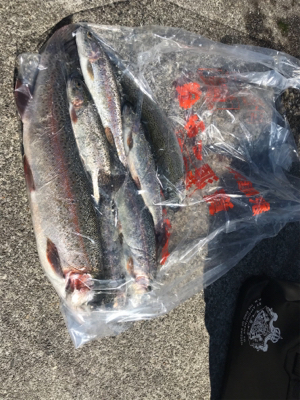 総合運動場栃木フィシングフィールド