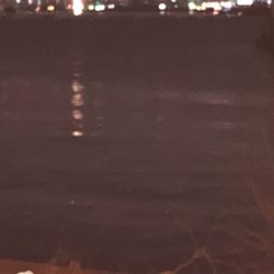 久々釣果がまさか