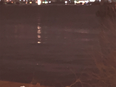 久々釣果がまさか