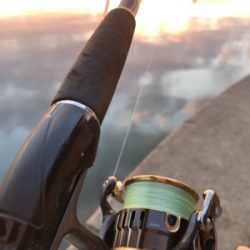 シーバスロッドでメバリング