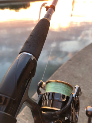 シーバスロッドでメバリング