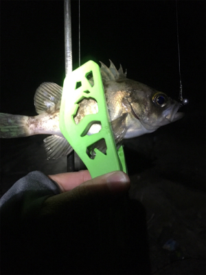 残業結果（笑）