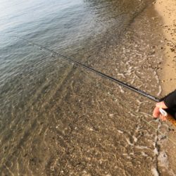 ウキソメバルを狙うもタケノコメバル