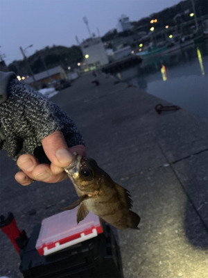 一年ぶりのサイズ!