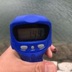 久しぶりのヤエン