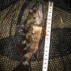 安定のガシリング(^^)