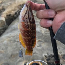 ポカポカ陽気で五目釣り