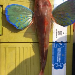 マイボートでタイラバ釣行