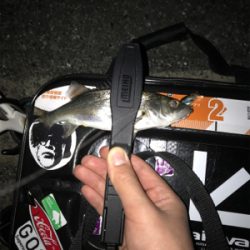 メバルを求めて(遠征)