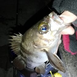 ライズ撃ち3連発