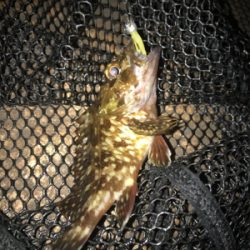 サイズUPならず(＞＜)