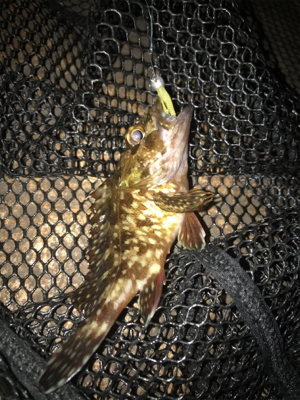 サイズUPならず(＞＜)